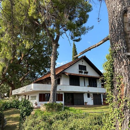 Wild Oaks Cottage Кріопігі Екстер'єр фото