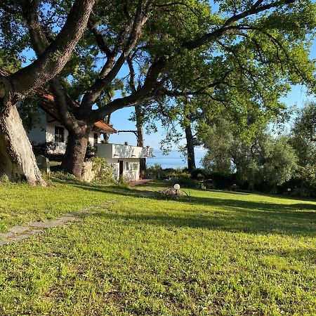 Wild Oaks Cottage Кріопігі Екстер'єр фото