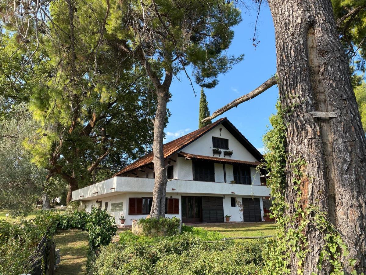 Wild Oaks Cottage Кріопігі Екстер'єр фото