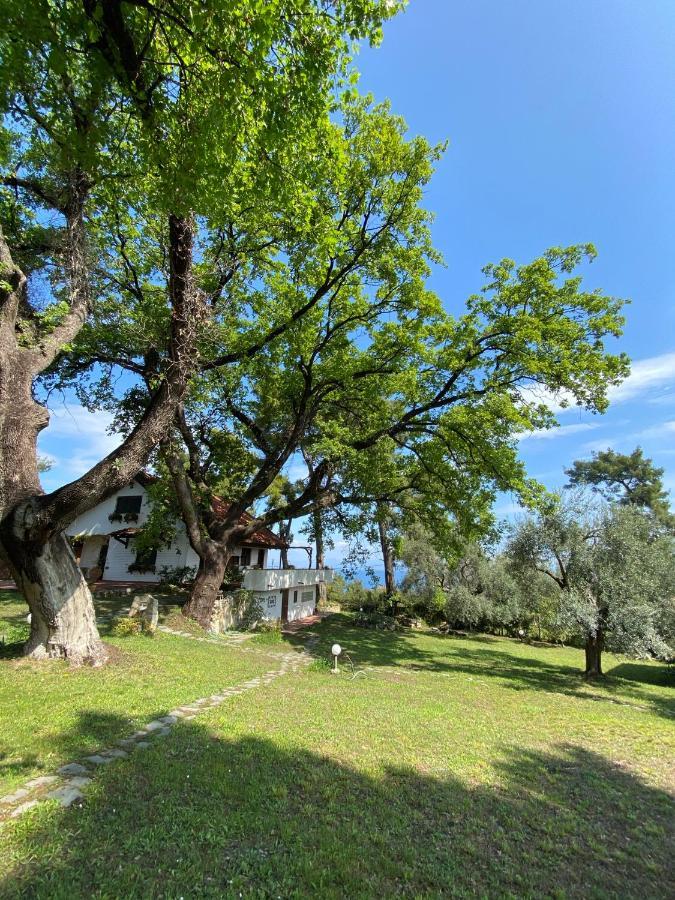 Wild Oaks Cottage Кріопігі Екстер'єр фото