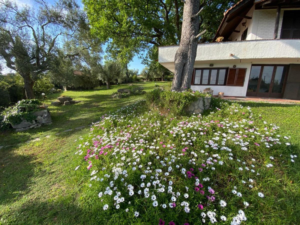 Wild Oaks Cottage Кріопігі Екстер'єр фото