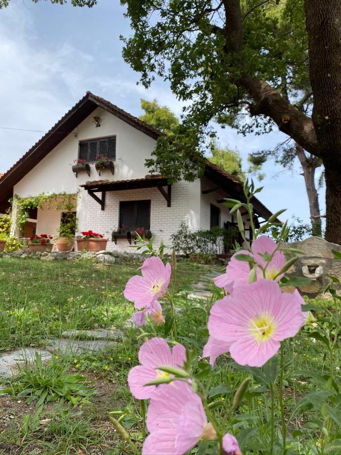 Wild Oaks Cottage Кріопігі Екстер'єр фото
