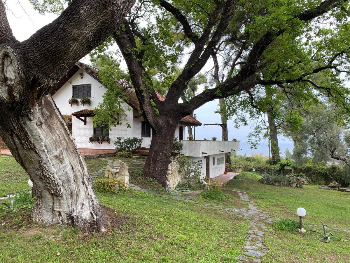 Wild Oaks Cottage Кріопігі Екстер'єр фото