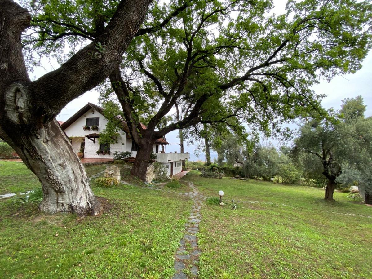 Wild Oaks Cottage Кріопігі Екстер'єр фото